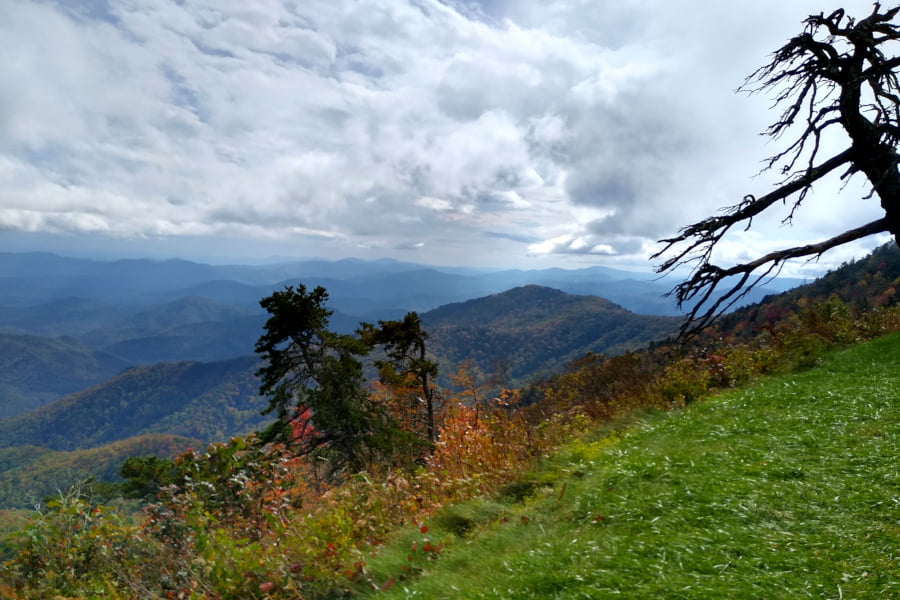 Looking southwest near top of parkway. Craggy tree in foreground