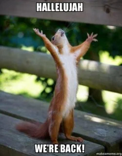 Squirrel says "we're back"