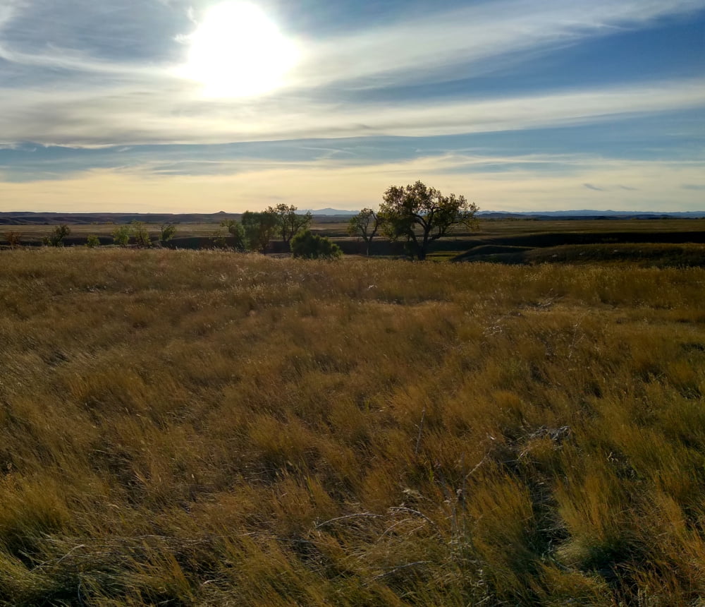 Black Hills on the Horizon as the Sun is Sinking in the Western Afternoon