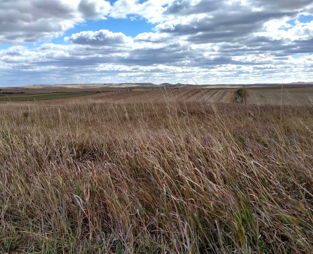 The High Plains of Central South Dakota