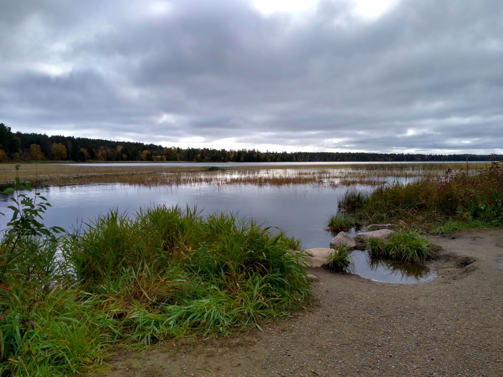 Itasca Lake at the Mississippi outflow.