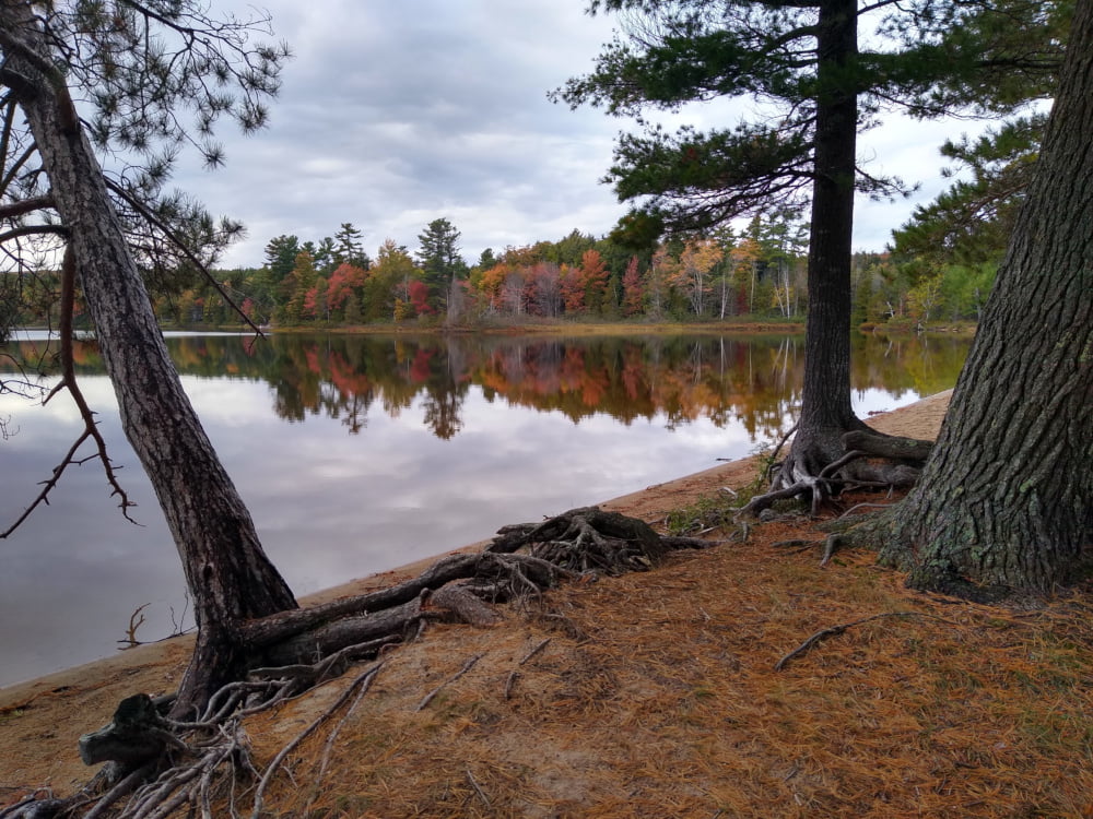 Upper Peninsula Autumn Lake