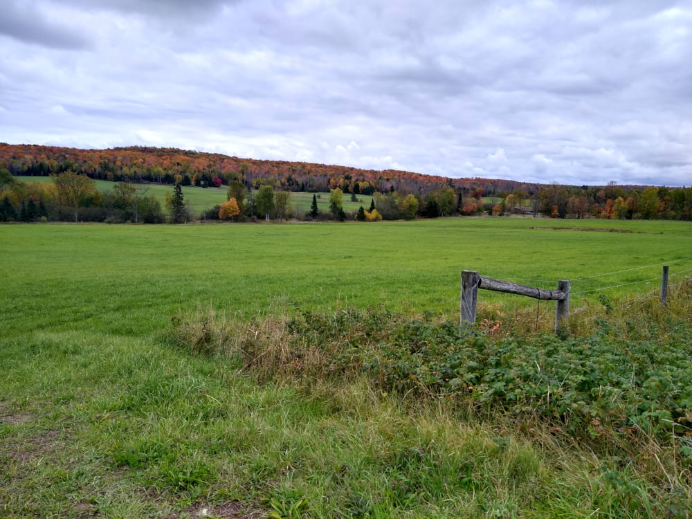 Upper Peninsula Autumn Farmstead