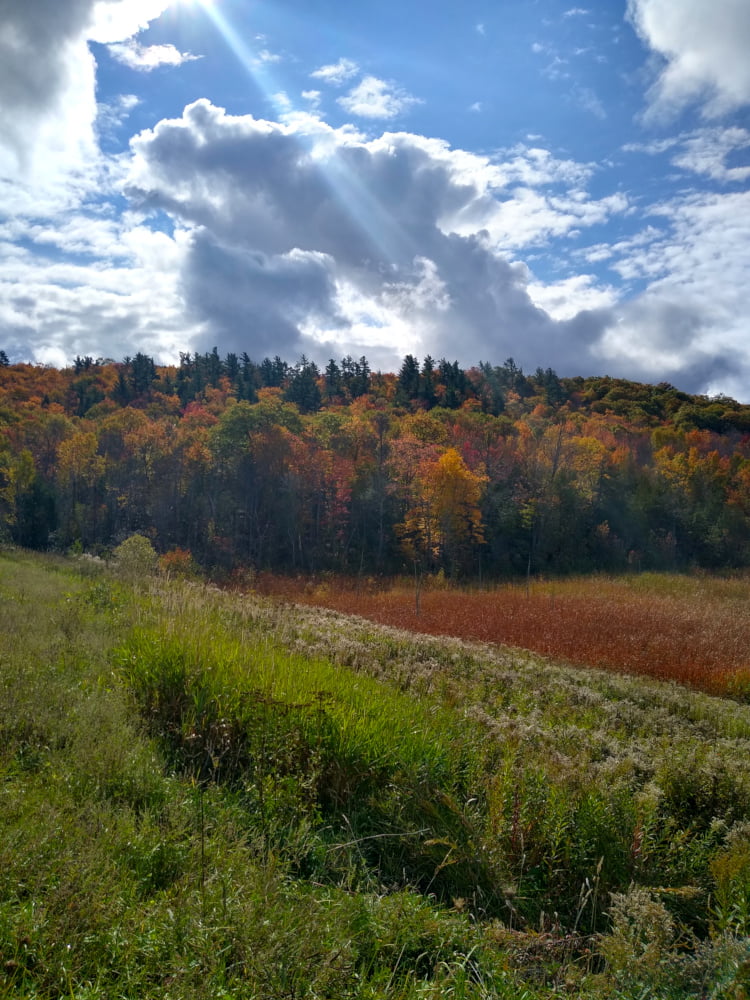 Upper Peninsula Autumn Colors