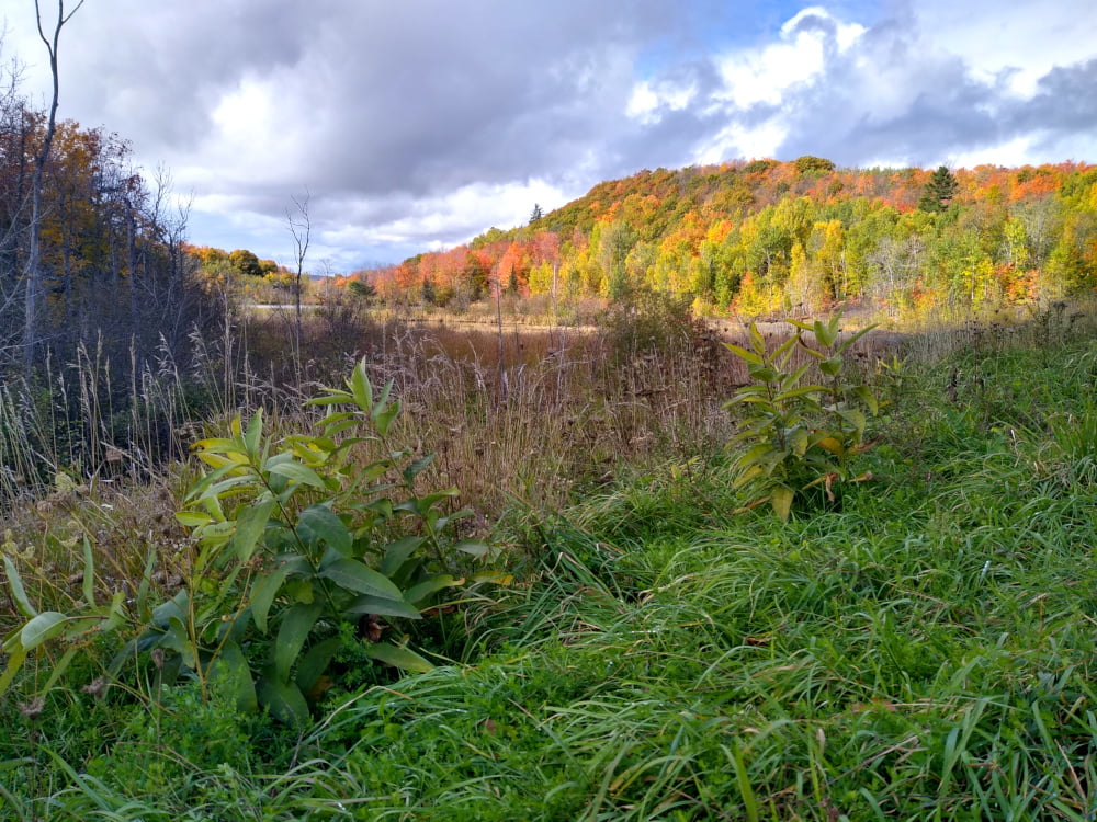 Upper Peninsula Autumn Colors