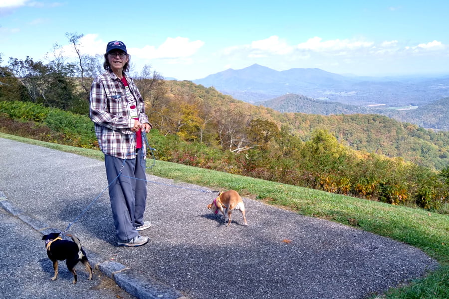 Sue & Doggies strolling