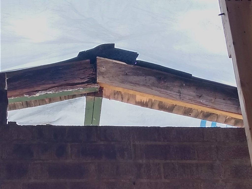 Rotten rafters along front chimney face