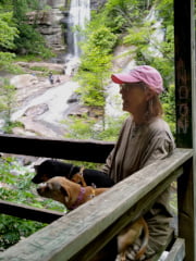 Sue and dogs sitting at Twin Falls overlook